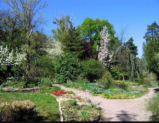 Du Col De Saverne Botanical Garden, Ottersthal, France